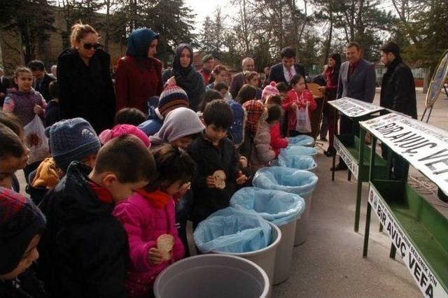 Keles’te Sokak Hayvanlarına Vefa Projesi Başlatıldı