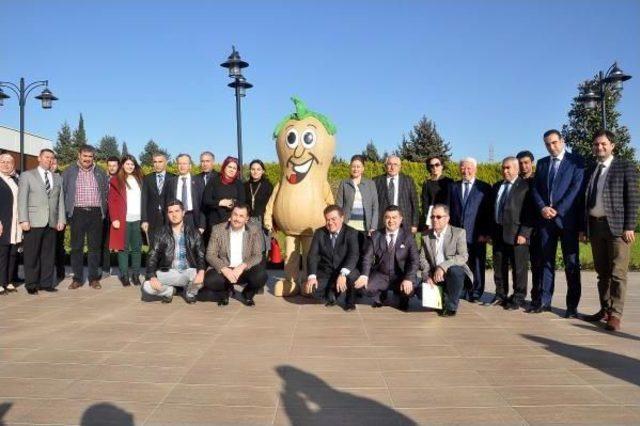 İlk Yer Fıstığı Yağı Fabrikası Osmaniye de Kuruldu 2