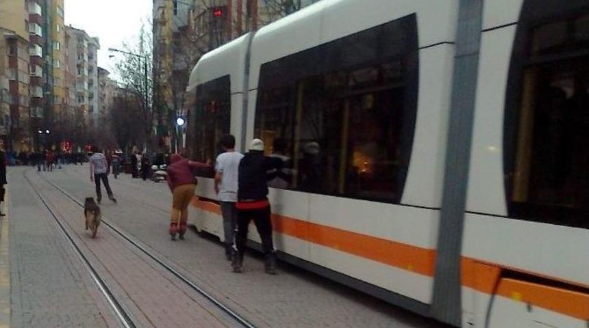 Gen&ccedil;lerin Tehlikeli Paten Oyunu