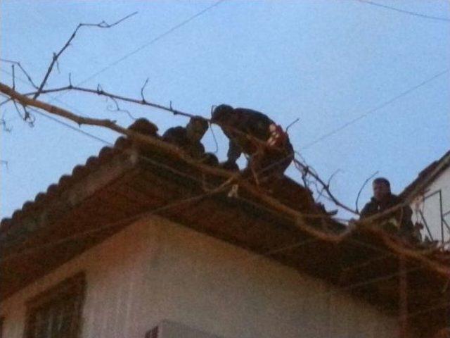 Kuşadası’nda Kaleiçi Büyük Tehlike Atlattı 1