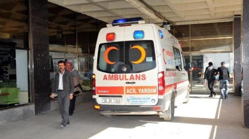 Van'da Mers Ş&uuml;pesi