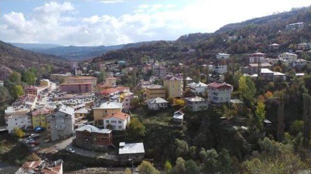 Şenay Komutan, Kadına Şiddetle Mücadalede Örnek Oldu