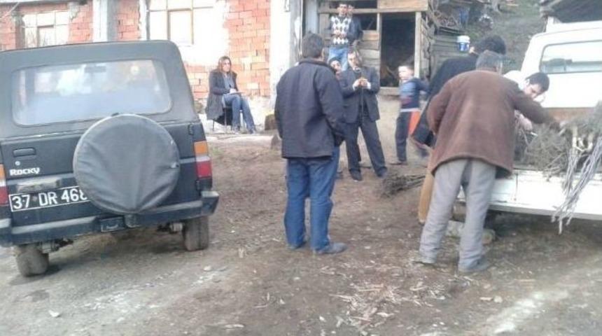 Azdavay&rsquo;da &Ccedil;iftcilere Ceviz Fidanı Dağıtıldı