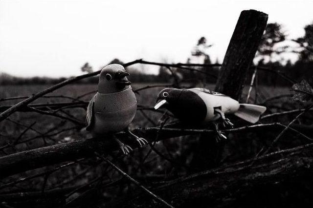 ‘iç’ Fotoğrafları Sergisi Açıldı