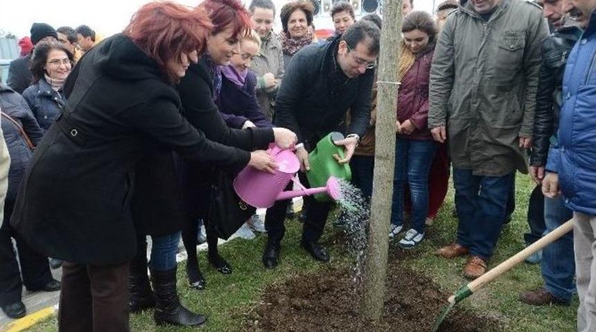 &Ouml;ld&uuml;r&uuml;len Her Kadın İ&ccedil;in Bir Ağa&ccedil; Dikildi