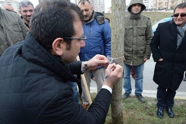 Öldürülen Her Kadın İçin Bir Ağaç Dikildi