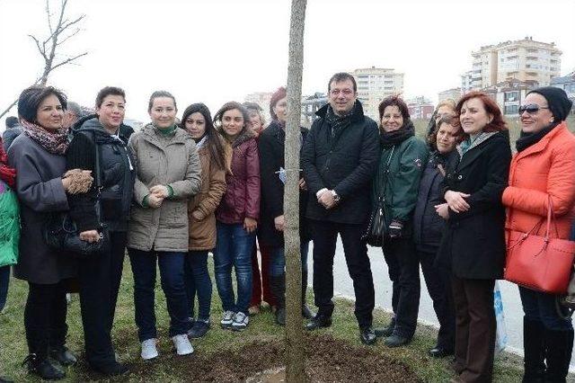 Öldürülen Her Kadın İçin Bir Ağaç Dikildi