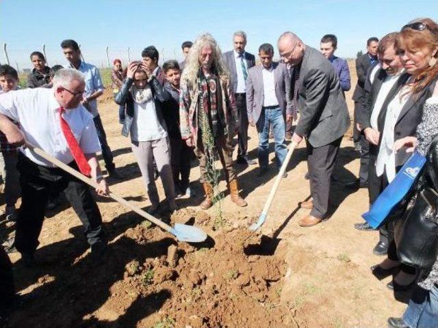 Harran'da Özgecan Aslan Anısına Hatıra Ormanı