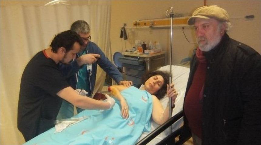 Sokak K&ouml;peği Kadının Kolunu Par&ccedil;aladı