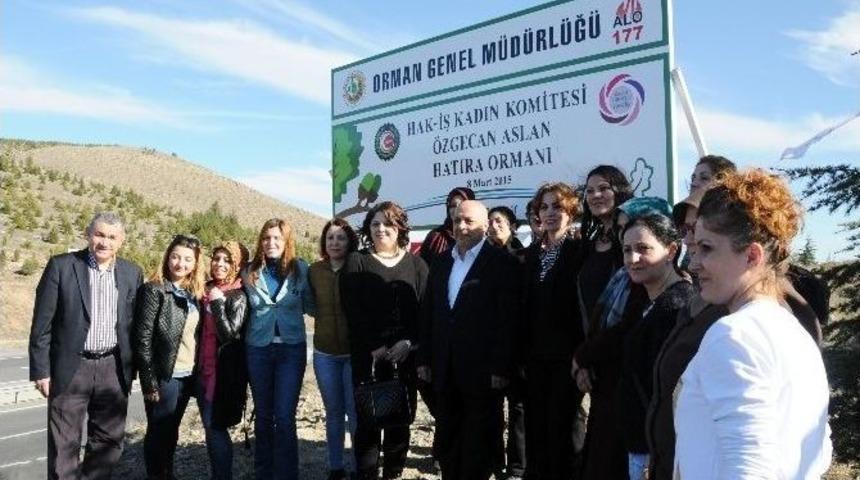 Hak-iş&rsquo;ten &lsquo;&ouml;zgecan Aslan Hatıra Ormanı&rsquo;