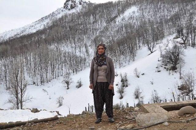 (&ouml;zel Haber) Hem &Ccedil;ocuklarının Annesi Hem K&ouml;y&uuml;n&uuml;n Muhtarı 1