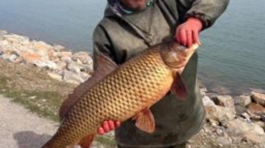 Baraj G&ouml;l&uuml;nde 11 Kilo Ağırlığında Sazan Yakaladı