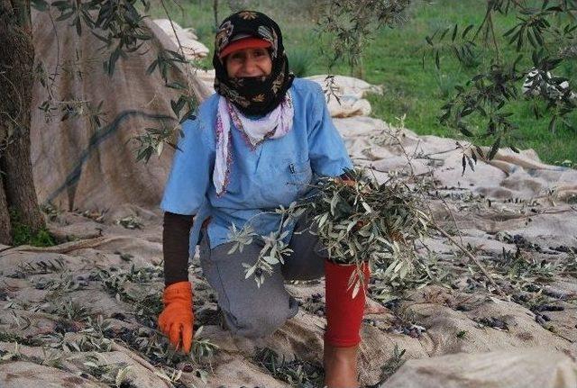 8 Mart&rsquo;ın Diğer Y&uuml;z&uuml;, Kimi Eğlenerek Kimi &Ccedil;alışarak Kutladı 2