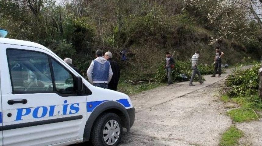 Defne Ağacı Kesenleri, Arıcılar Yakalattı