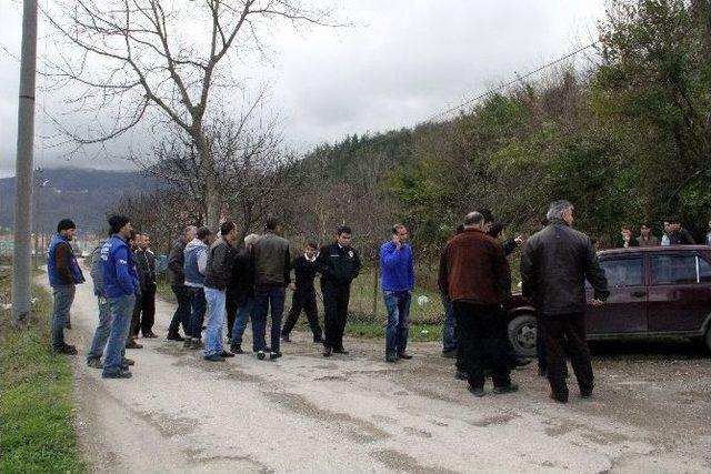 Defne Ağacı Kesenleri, Arıcılar Yakalattı