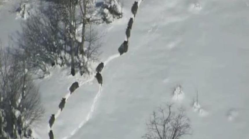 Ordu&rsquo;Da Av Turizmini I&ccedil;in 19 Il&ccedil;ede Avlak Sahası Oluşturulacak