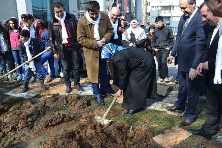 8 Mart Dünya Kadınlar Günü G4