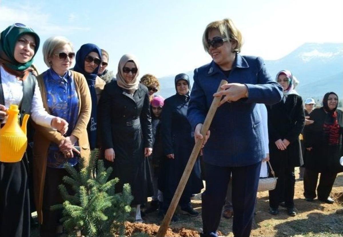 Malatya&rsquo;da 550 Fidan Dikimi Yapıldı
