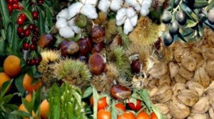 Aydın&rsquo;da &Ccedil;iftlik Muhasebe Veri Ağı B&uuml;y&uuml;yor