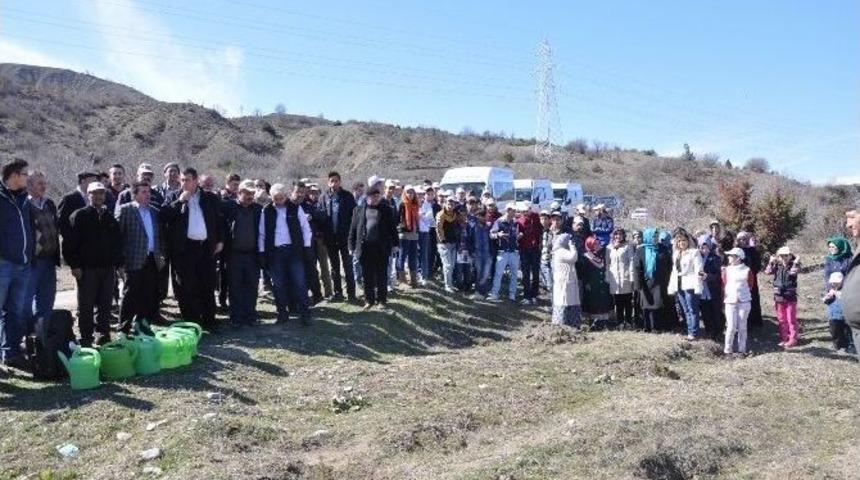Koyulhisar&rsquo;da Bin Fidan Toprakla Buluştu