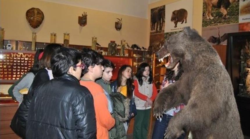 &Ouml;ğrencilerin Zooloji Merakı