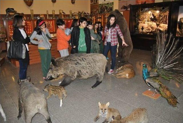 &Ouml;ğrencilerin Zooloji Merakı 1
