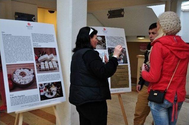 “slow Cheese Bodrum” Peynir Festivali 1