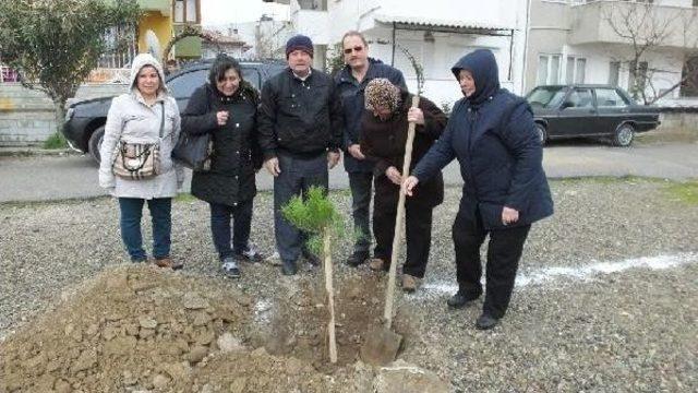 Kadınlardan Özgecan'ın Anısına Fidan