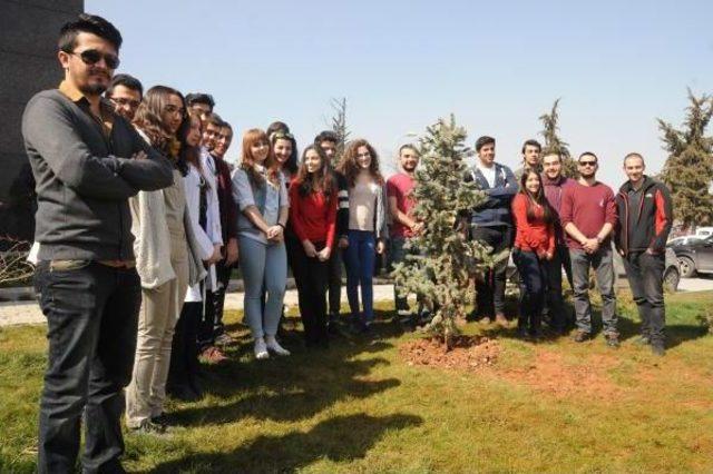 Diktikleri Fidanlara Siyah Kurdele Bağlayıp, Kadına Şiddete Tepki Gösterdiler