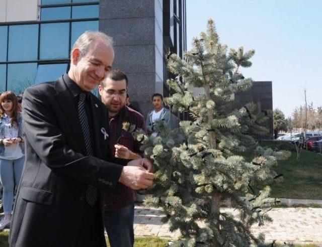 Diktikleri Fidanlara Siyah Kurdele Bağlayıp, Kadına Şiddete Tepki Gösterdiler