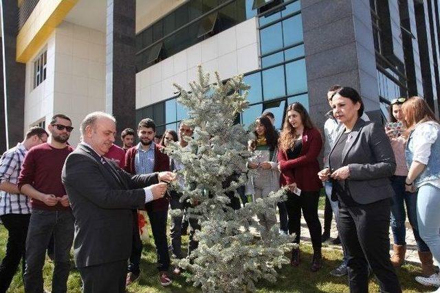 Öğrenciler ‘kadına Şiddete Dur De’ Sloganıyla Fidan Dikti