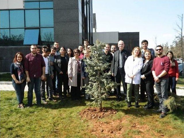 Öğrenciler ‘kadına Şiddete Dur De’ Sloganıyla Fidan Dikti