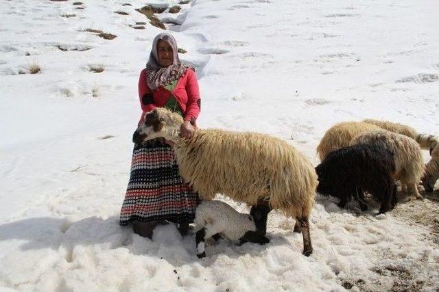 Dört Çocuğuna Hem Annelik Hem Babalık Yapıyor