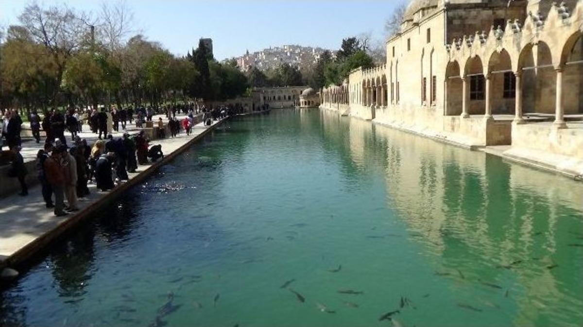 Şanlıurfa&rsquo;ya Bahar Erken Geldi