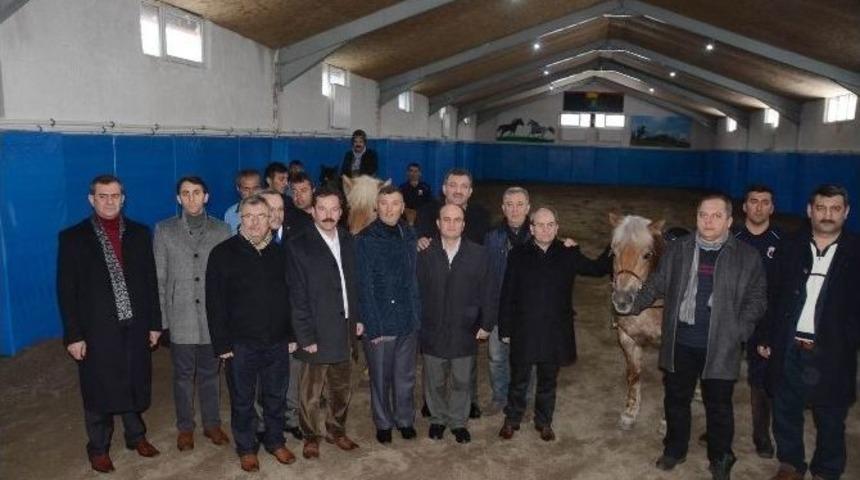 "apaci Atlar" Vatandaşa Hizmet Verecek