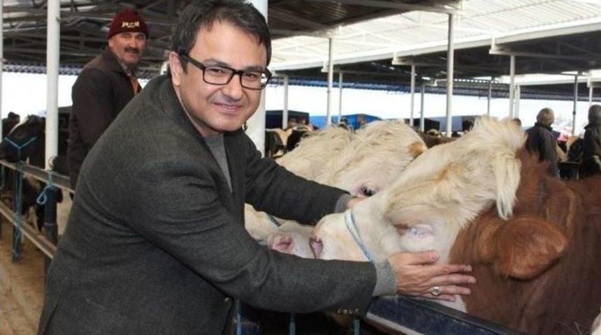 Şakır, Canlı Hayvan Pazarında Esnafın Sorun Ve Taleplerini Dinledi