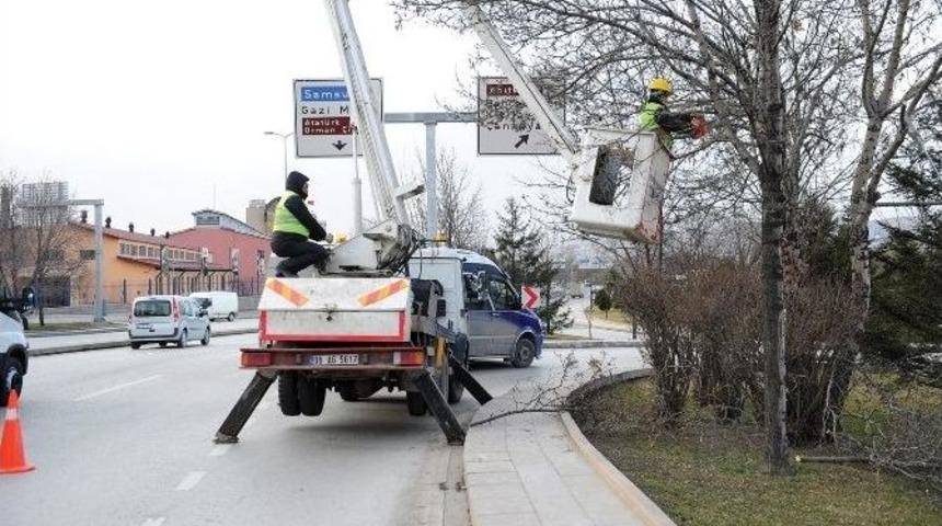 Ankara B&uuml;y&uuml;kşehir&rsquo;den Caddelerde Ağa&ccedil; Budama &Ccedil;alışması