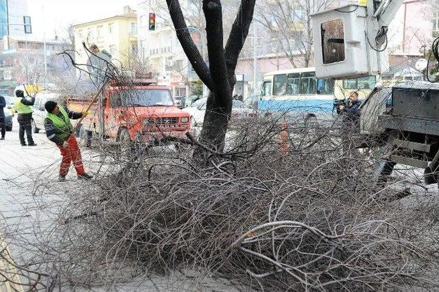Ankara B&uuml;y&uuml;kşehir&rsquo;den Caddelerde Ağa&ccedil; Budama &Ccedil;alışması 1