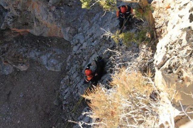 Kayalıklarda Mahsur Kalan 4 Keçiyi, Afad Kurtardı
