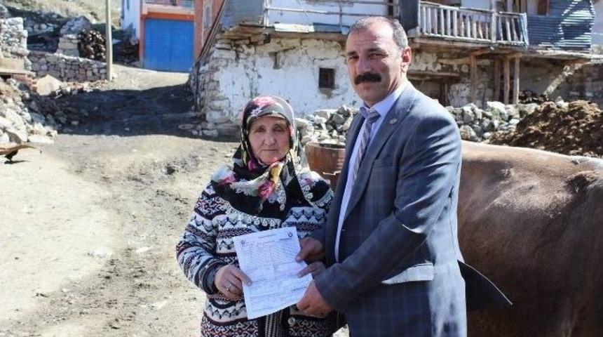 Yıldızeli Ziraat Odası Hayvanları Telef Olan &Ccedil;ift&ccedil;iye Yardım Eli Uzattı