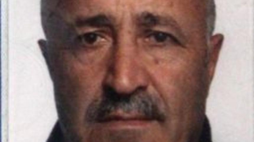 Ambulans Şof&ouml;r&uuml;, Kestiği Ağacın Altında Kalıp &Ouml;ld&uuml;