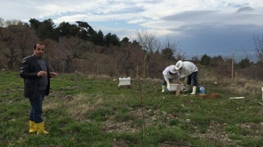 Burhaniye&rsquo;de Arıcılara Tarımcı Desteği
