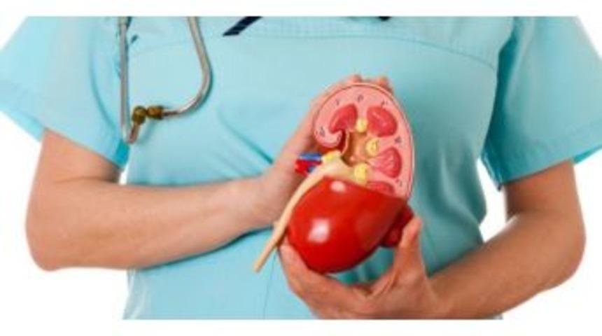 Uzmanlardan &lsquo;b&ouml;brek Hastalığı&rsquo; Uyarısı