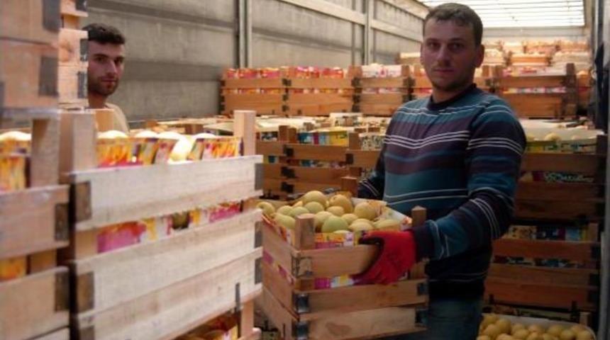 Hem Sığınmacıları, Hem &Uuml;reticileri Sevindiren Yardım