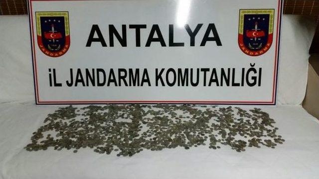 Jandarma&rsquo;dan Tarihi Eser Operasyonu 1