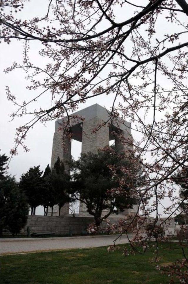 Şehitler Abidesi ndeki M&uuml;ze 9 Yıldır A&ccedil;ılamıyor 1