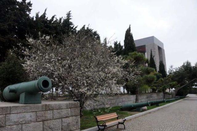 Şehitler Abidesi ndeki M&uuml;ze 9 Yıldır A&ccedil;ılamıyor 2