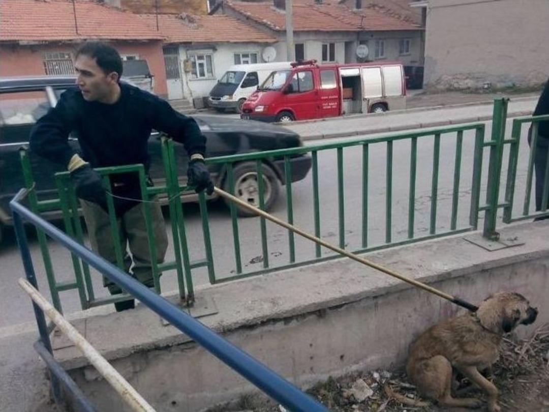 Kanala D&uuml;şen K&ouml;peği İtfaiye Erleri Kurtardı