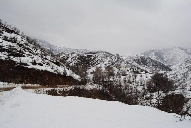 Mahkeme, Çed Gerekli Değildir’i Hukuka Uygun Bulmadı