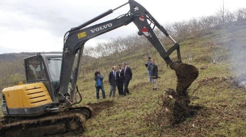 Yaşlı Fındık Bah&ccedil;elerinin S&ouml;k&uuml;lerek Yenilenmesi İ&ccedil;in Bakanlıklardan Talepte Bulundular